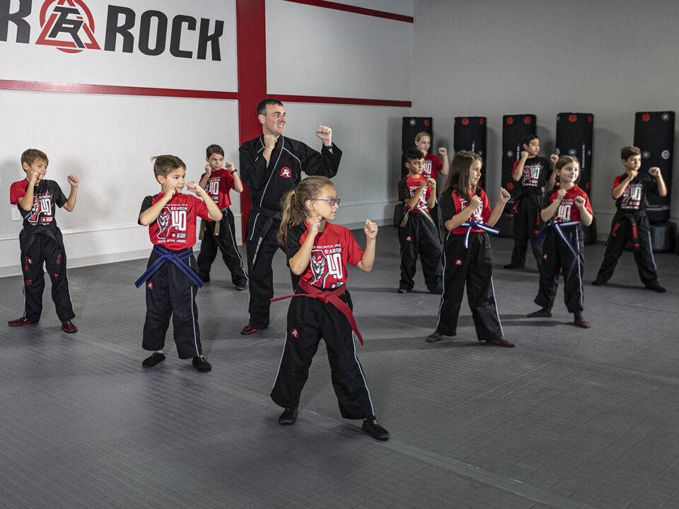 kids martial arts lessons